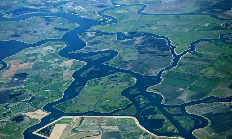 The Sacramento-San Joaquin River Delta, California. Image source: Cavan Images/Offset