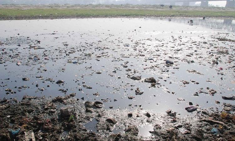 Polluted Yamuna river in Agra (Source: IWP Flickr photos)