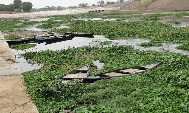 Kharun river at Mahadev Ghat, Raipur.