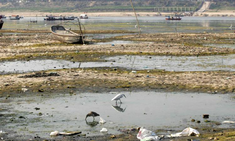 River Ganges at Sangam in Allahabad