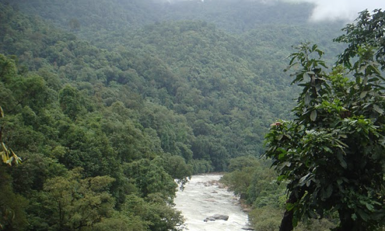 Free flowing stretch of river Seetha Nadi in the Western Ghats (Source: SANDRP)