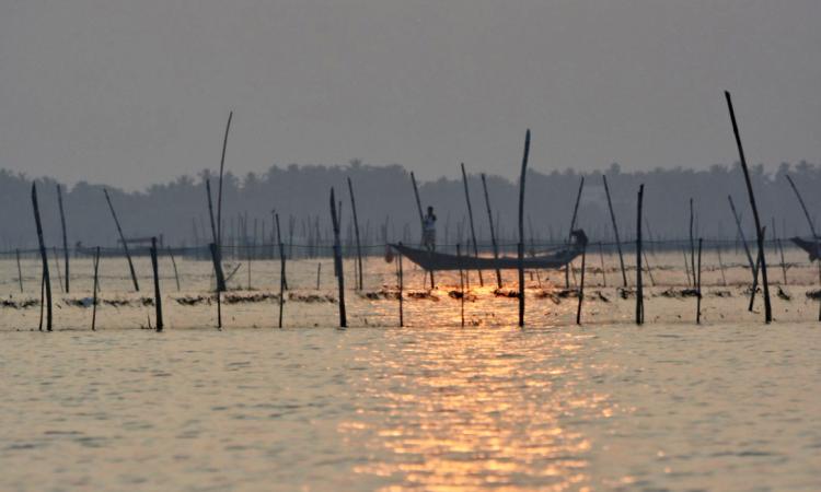 The Chilika Lake. (Source: India Water Portal)