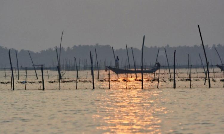 A view of the Chilika lake in the evening. (Source: IWP Flickr photos)