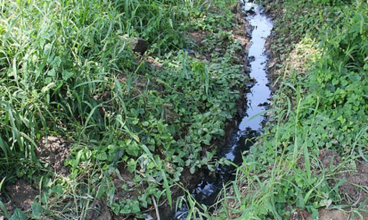 Greywater from kitchen and bathroom. (Source: India Water Portal)