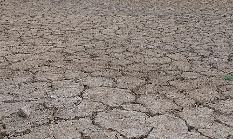 Drought in Maharashtra (Source: IWP Flickr Photo)