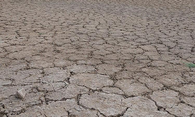 Drought in India (Source: IWP Flickr Photos)