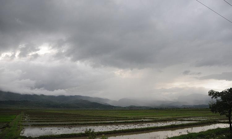 Rainy clouds hovering over Manipur's farmland