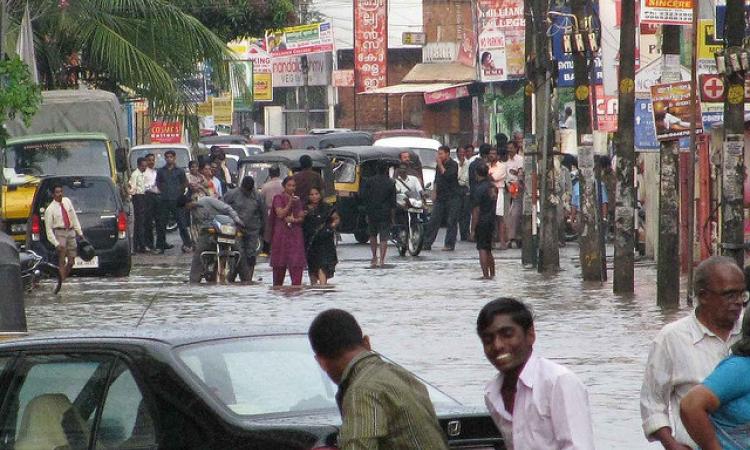 Recovering rainfall is a good sign. (IWP Flickr photos)