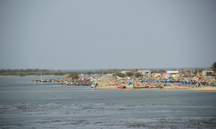 A new tool takes tsunami forecast to another level. (Source: IWP Flickr photos)