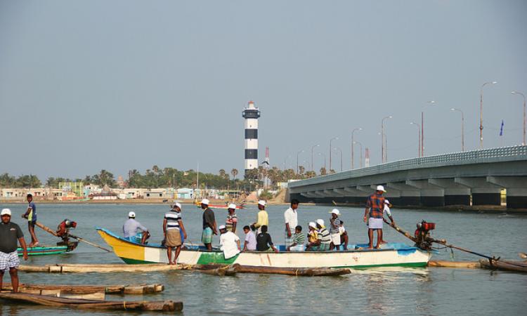 Pulicat lagoon is the second largest brackish water body in the country after Odisha's Chilika lake. (Image: Seetha Gopalakrishnan, IWP)