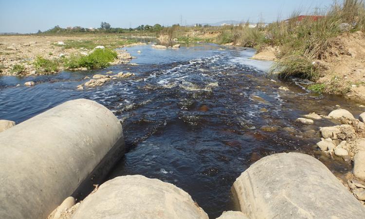 Nanoparticles from table sugar can be used as sensors to find lead in water. (Source: IWP Flickr photos)