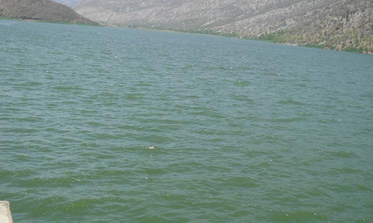 A dam in Maharashtra 