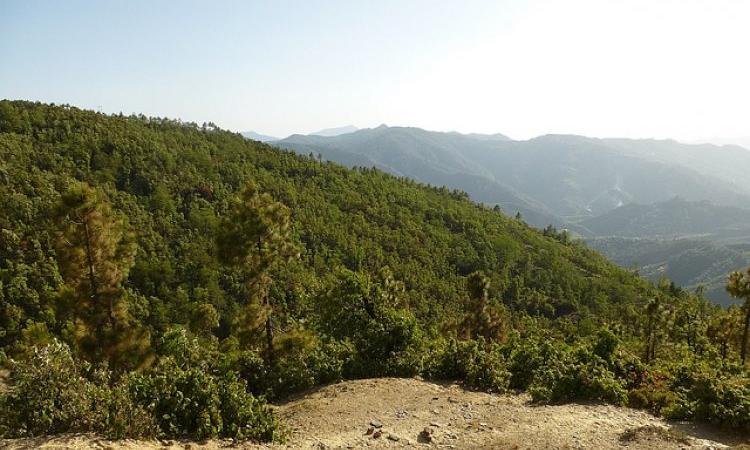 Ufrenkhal forest that gives water to Gad Ganga