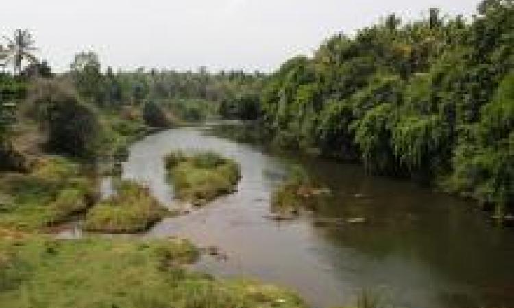 The Kabini as it flows through Wayanad (Source: Seetha Gopalakrishnan, IWP)