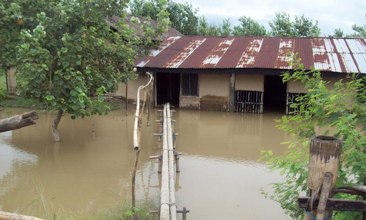 Odisha reels under floods