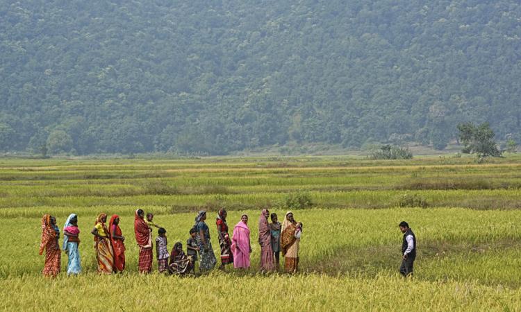 SRI beneficiaries in Ambikapur