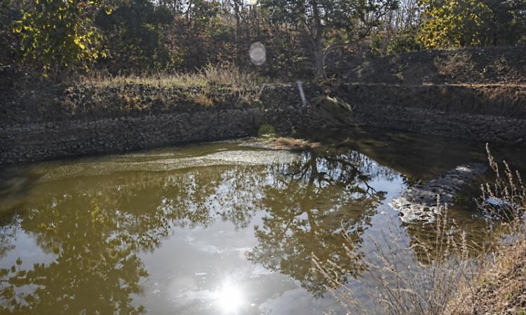 A farm pond in Kakaddara.