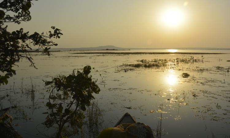 The Erai river (Source: India Water Portal)