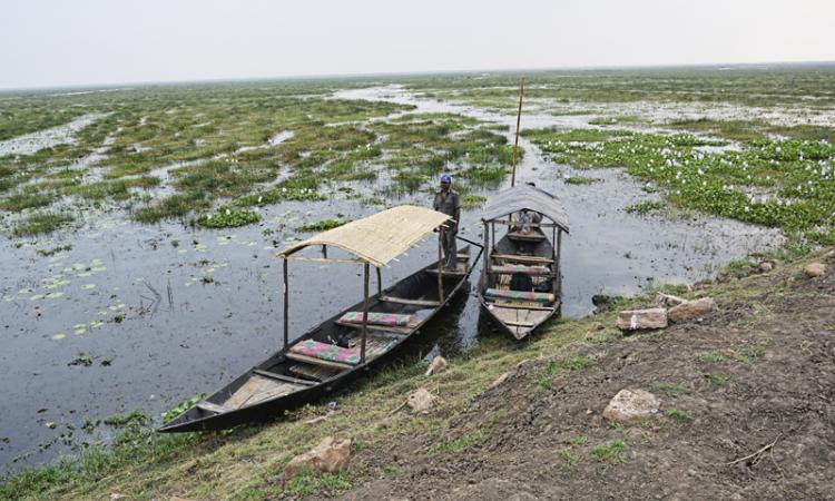 Chilka lake, Odisha