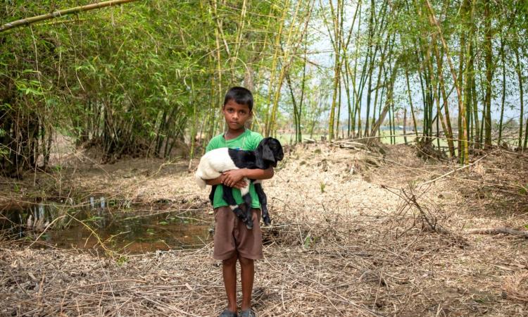 The Amphan swept away the chicken coops and other domestic animals. This is Anup Bhakta standing with one of the few goats left after the storm. (Image: WaterAid, Subhrajit Sen)
