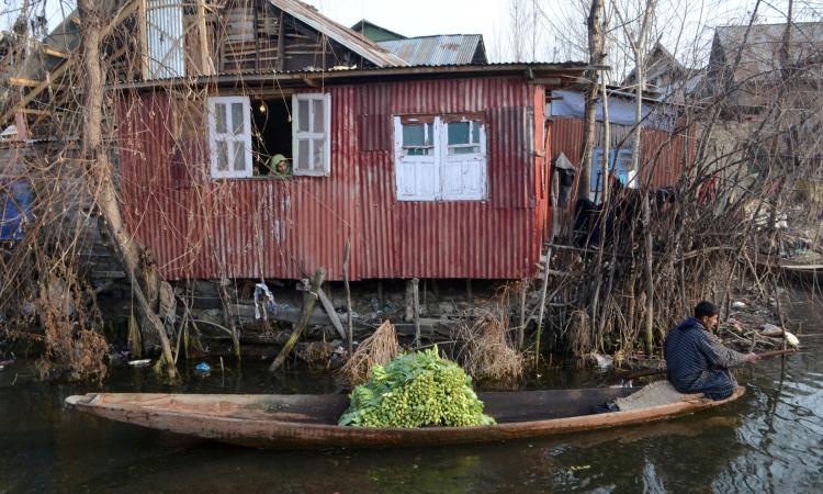 A boatman carries vegetables produced from floating gardens. (Source 101Reporters)