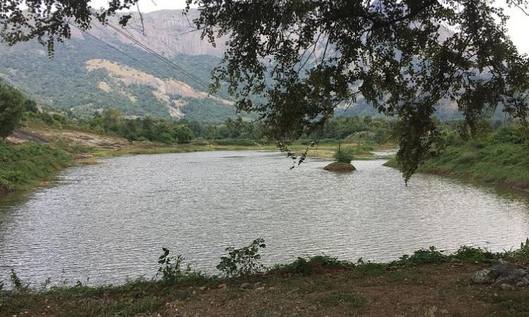 A lake rejuvenated by United Breweries in Palakkad, Kerala