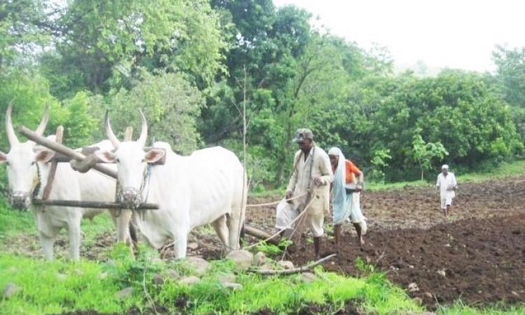 Agriculture needs to be made climate resilient. (Image Source: India Water Portal)