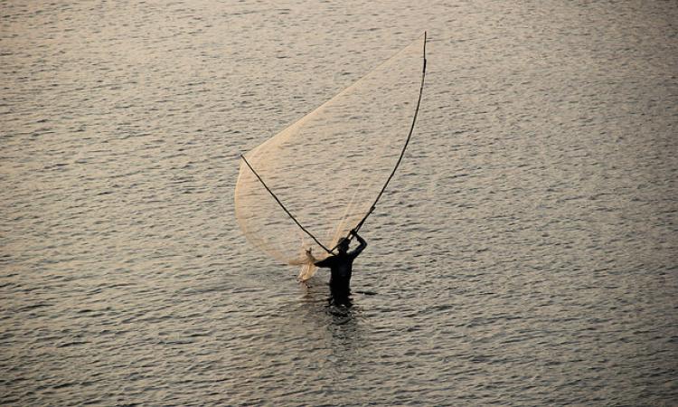 The blue revolution changed the way India looked at its marine wealth. (Source: IWP Flickr photos)