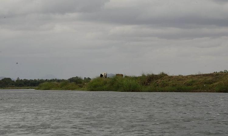 Karnataka and Tamil Nadu have been fighting over Cauvery water sharing for a long time (Source: Wikipedia Commons)