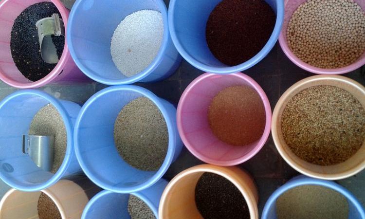 Cereals and millets at a bazaar in Nizampet, Hyderabad (image: Aditya Madhav, CC BY-SA 3.0, Wikimedia Commons)