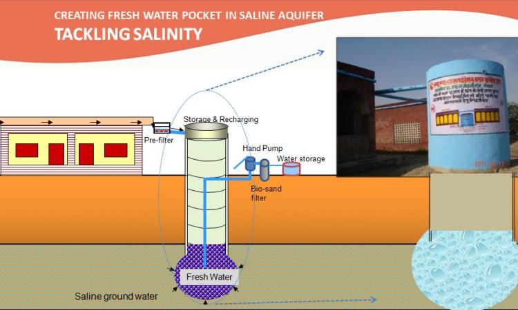 Tackling salinity in Mewat (Source: Lalit Mohan Sharma)