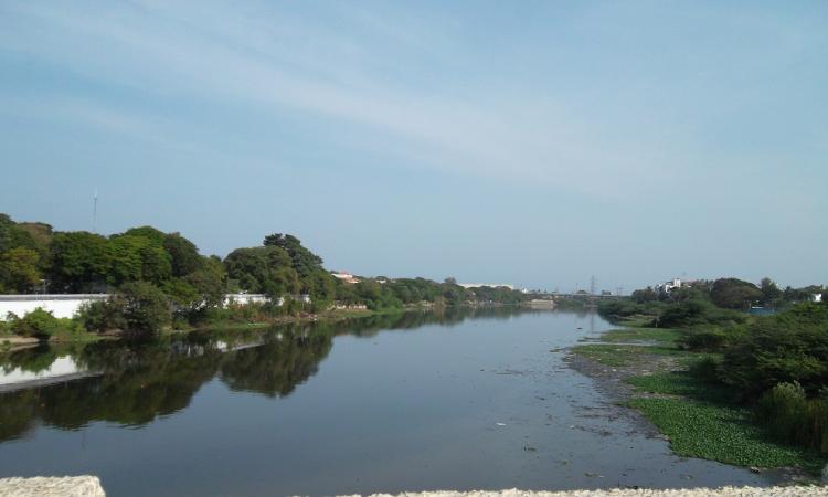 Cooum river, Tamil Nadu (Source: Wikipedia)