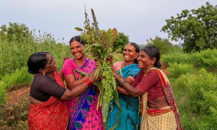 The women of Deccan Development Society sanghams move towards more localized natural resource management (Image: Deccan Development Society, Facebook Page)