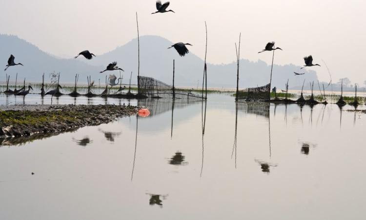 India's wetlands under threat (Source: IWP Flickr Photos)