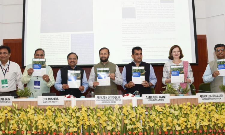 Minister of Environment, Forest & Climate Change, Prakash Javadekar with representatives of UNCCD, IUCN and other panelists at the June 17th meeting. (Photo: DD News Hindi)