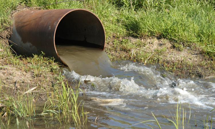 Effluents from industries & factories contaminate the water source (Source: Wikipedia)