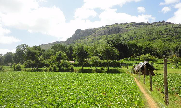 Integrated farm development: A user guide (Source: Seetha Gopalakrishnan, IWP)