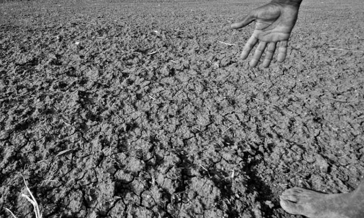 Drought affected area in Karnataka (Source: Pushkarv via Wikipedia)