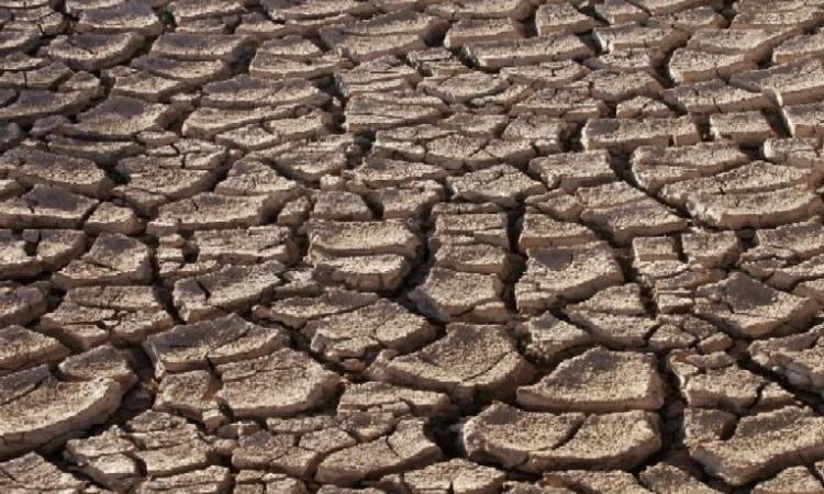 Coping with droughts, a challenge for farmers (Image Source: Wikimedia Commons)