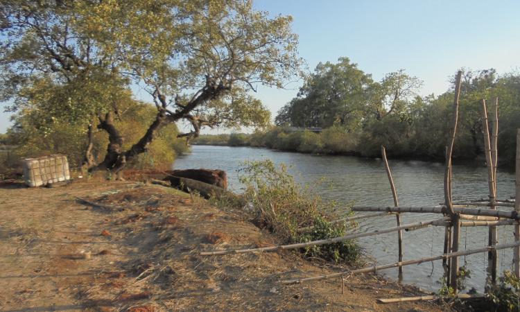 Dr. John's Khazan next to the Zuari river