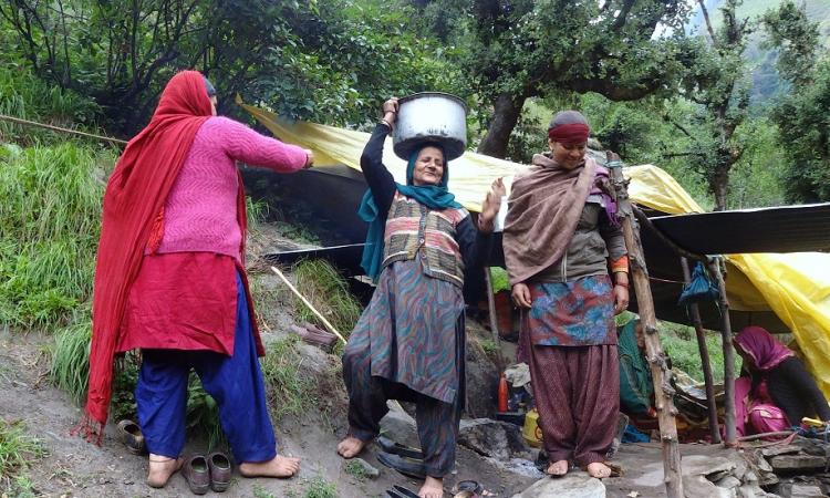 Himachal women protest Holi-Bajoli hydel plant