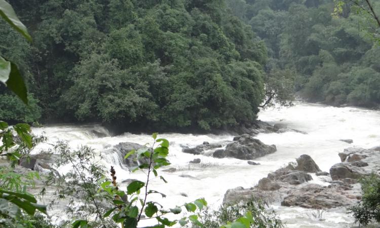 River Netravathi (Source: SANDRP)