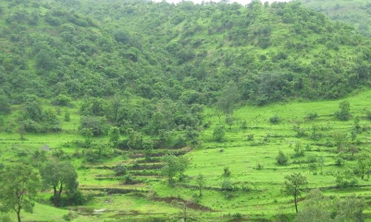 The environment, sustainability and business interests. (Source: India Water Portal)