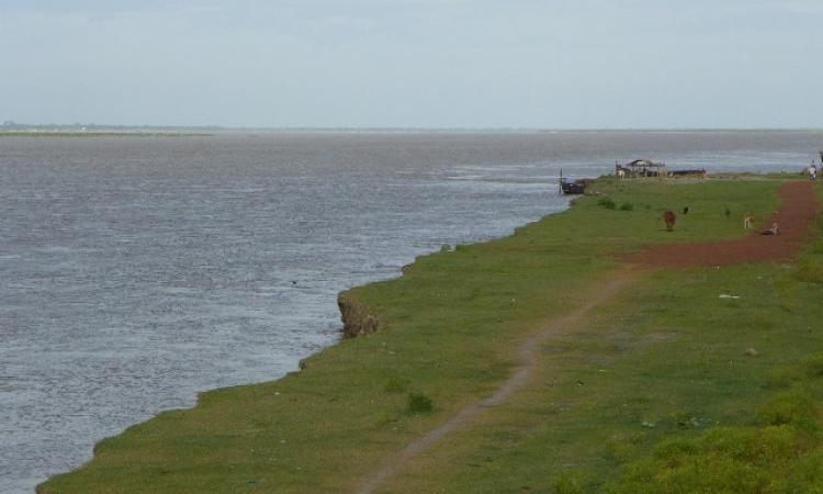 The lower Ganga, just upstream of Farakka, displays bank cutting and erosion. (Source: India Water Portal)