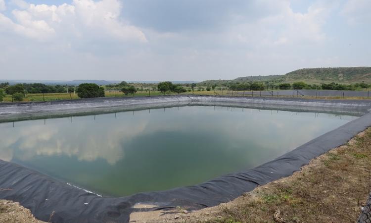 A farm pond (Source: Renie Thomas, WOTR, Pune)