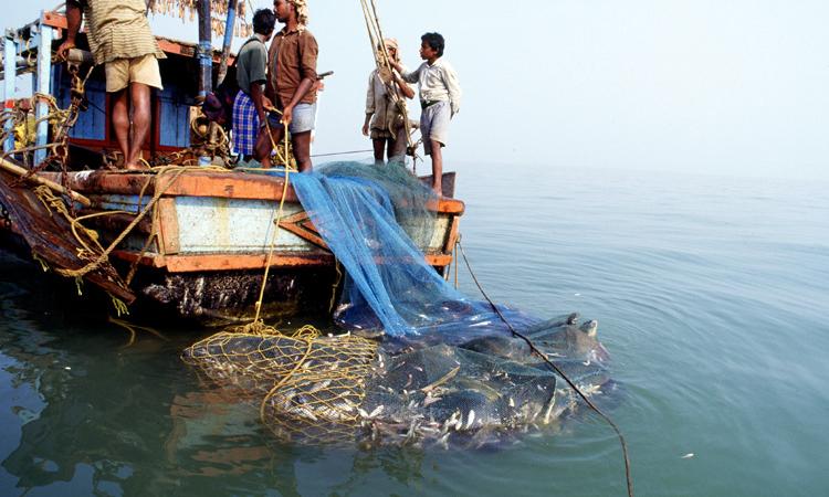 Fishing livelihoods (Picture courtesy: Conservation India)