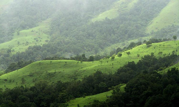 A view of Western Ghats (Source: Wikipedia)