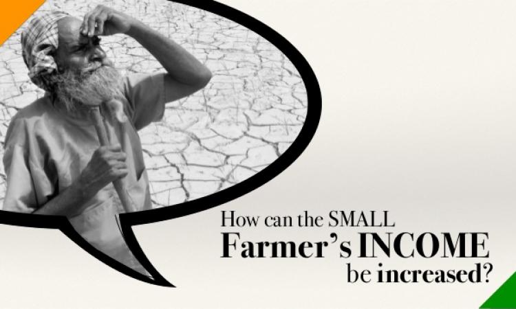 Better strategy needed to increase small farmer's income. (Source: Yogesh Upadhyaya)