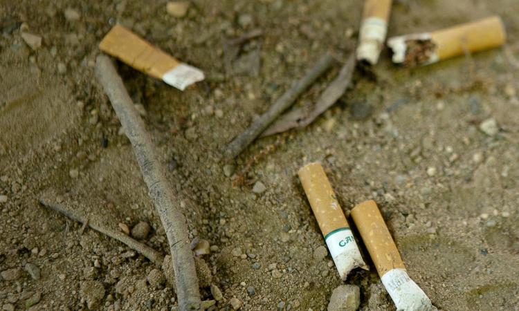 Discarded cigarette butts on a beach. (Source:Wikimedia Commons)