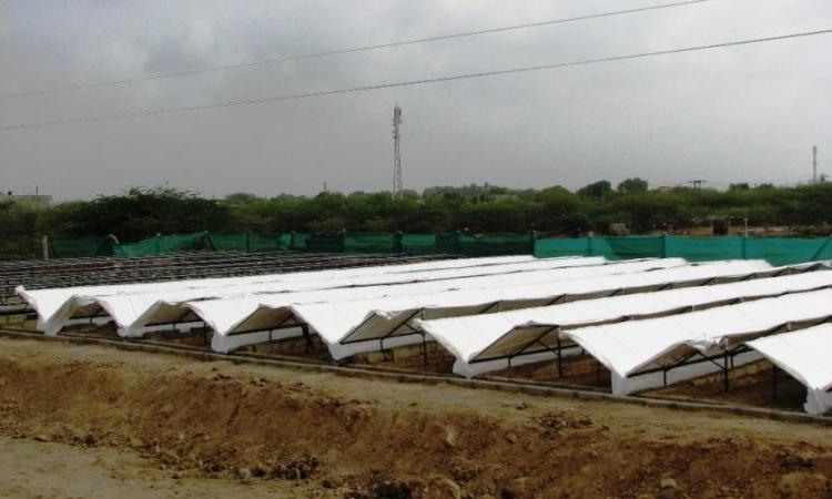 A view of the dew harvesting plant at Kothara.